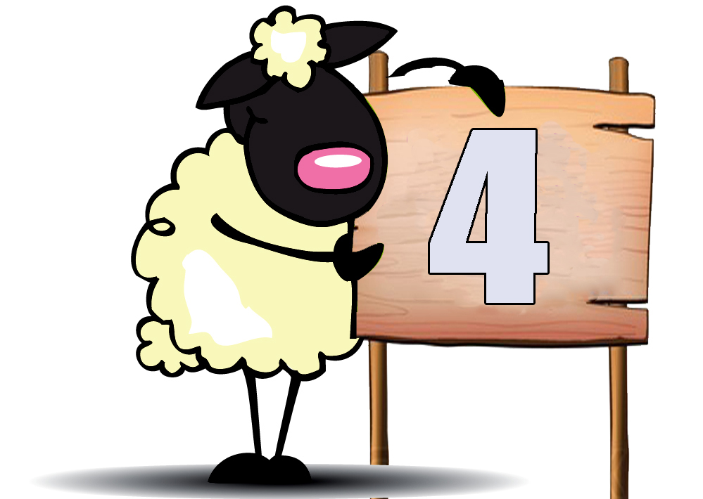 Sheep-4