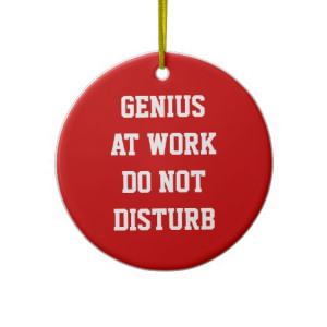 genius_at_work_do_not_disturb_door_hanger_ornament-rac5bad6e1f7e45588f522727f1c786bf_x7s2y_8byvr_512