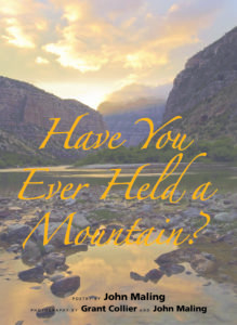 Have You Ever Held a Mountain by John Maling