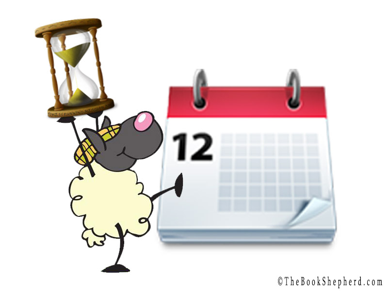 Pick Judith's Brain - The Book Shepherd