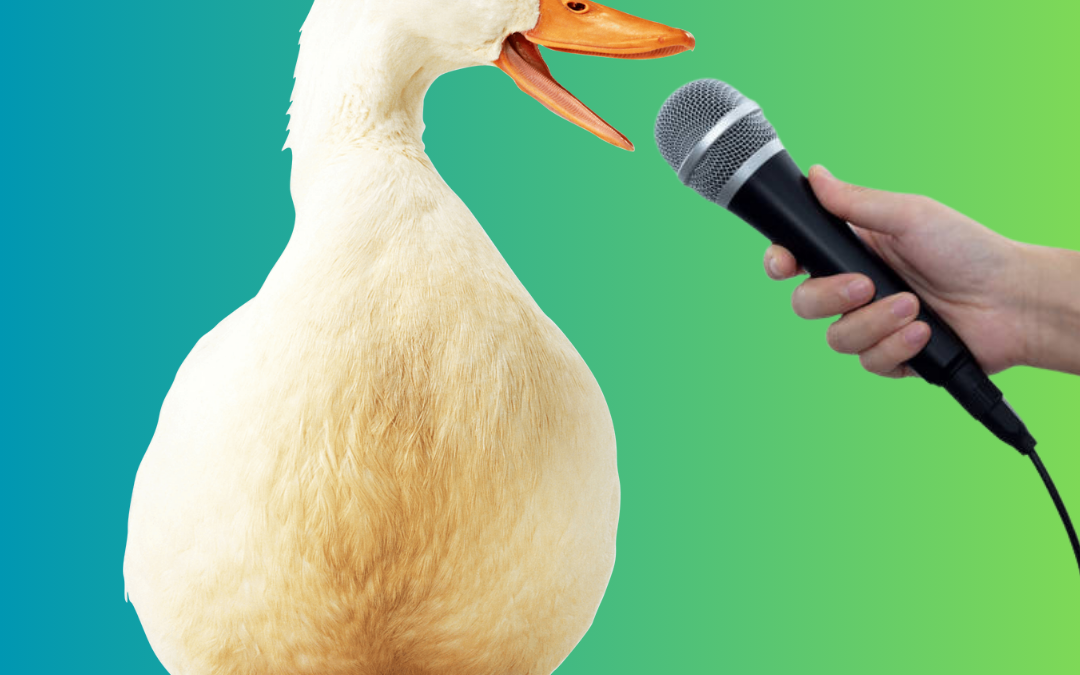 When Authors Have NEWS … Be a Quacker … Not a Peeper!