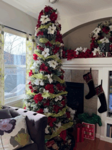 Merry Christmas and Happy Hanukkah from my home to yours!