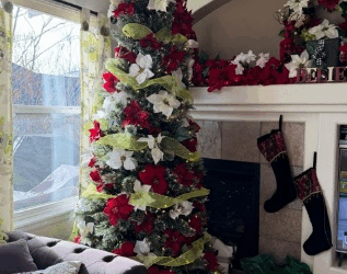 Merry Christmas and Happy Hanukkah from my home to yours!